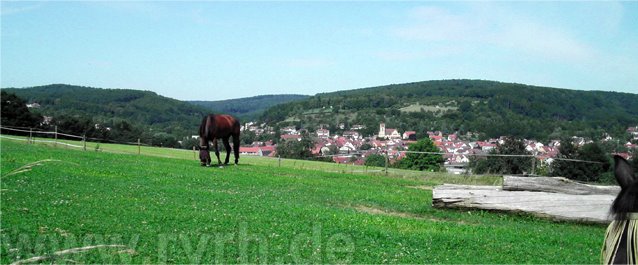 Pferd auf Koppel [www.rvrh.de] by erickubitschek