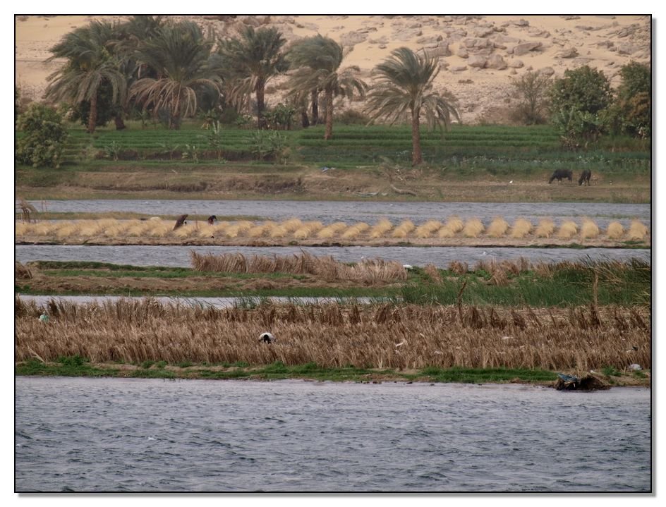 Life on Nile by AustrianAviationArt