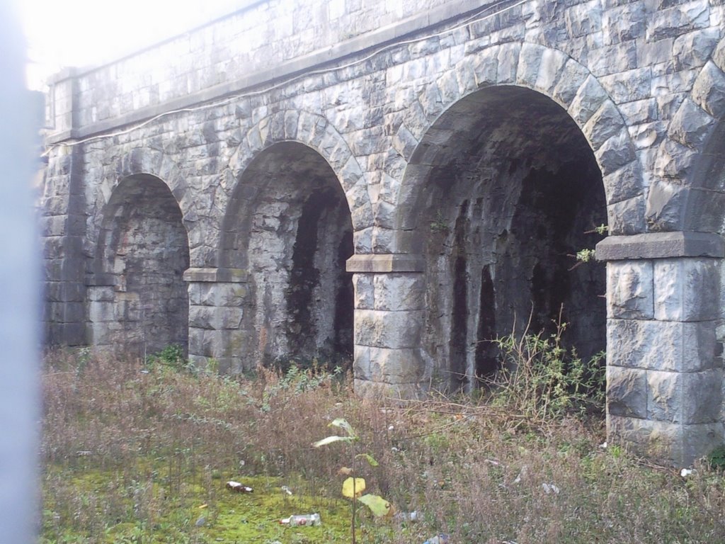 Arch detail at tunnel by Dennis Sheehan