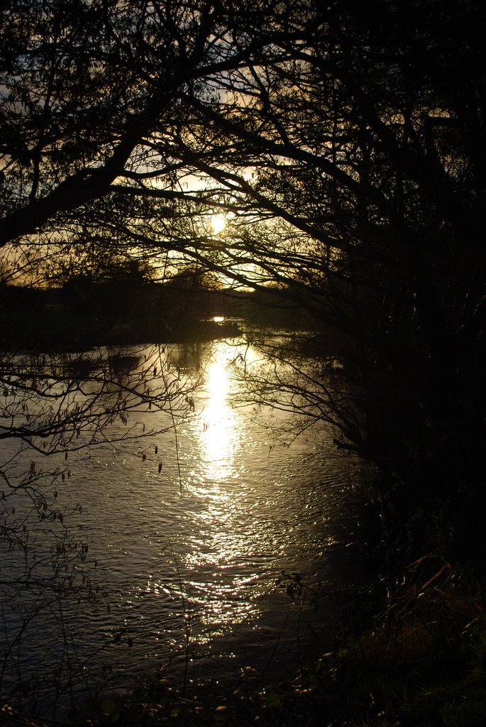 'Face in the water' by Rob Johnson