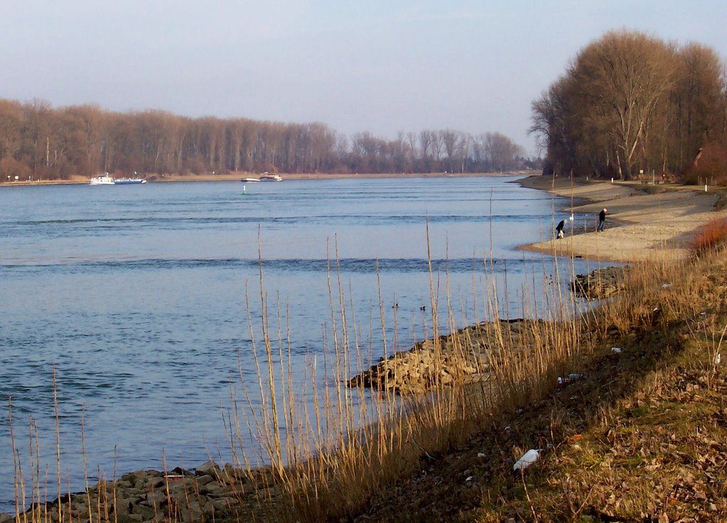 Rhein am neuen Hafen by A.H,