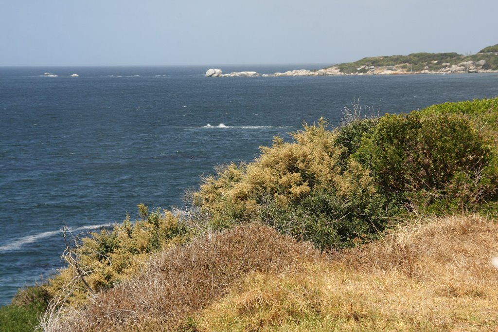 Cape of Good Hope by keso me