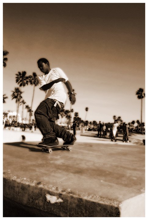 Skate Venice by sterling1973