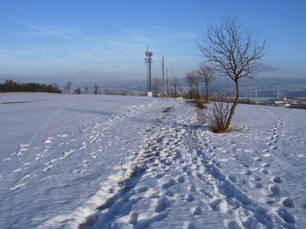 Spuren im Schnee by Huehnchen