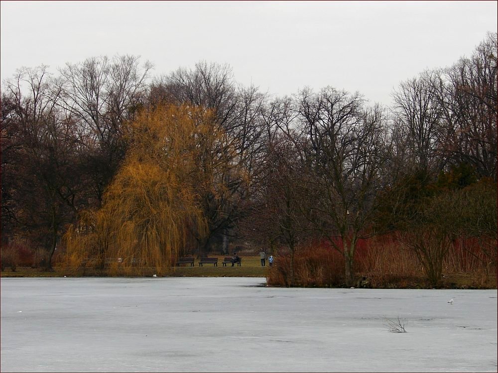 Dzisiaj inny park * Another park today by Janina_Bieleńko