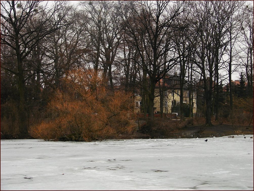 Dzisiaj inny park * Another park today by Janina_Bieleńko