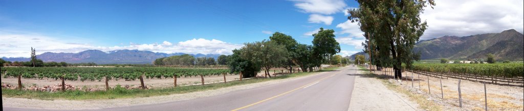 Cafayate Norte Ruta Nacional 40 by ricardoalfredoparra