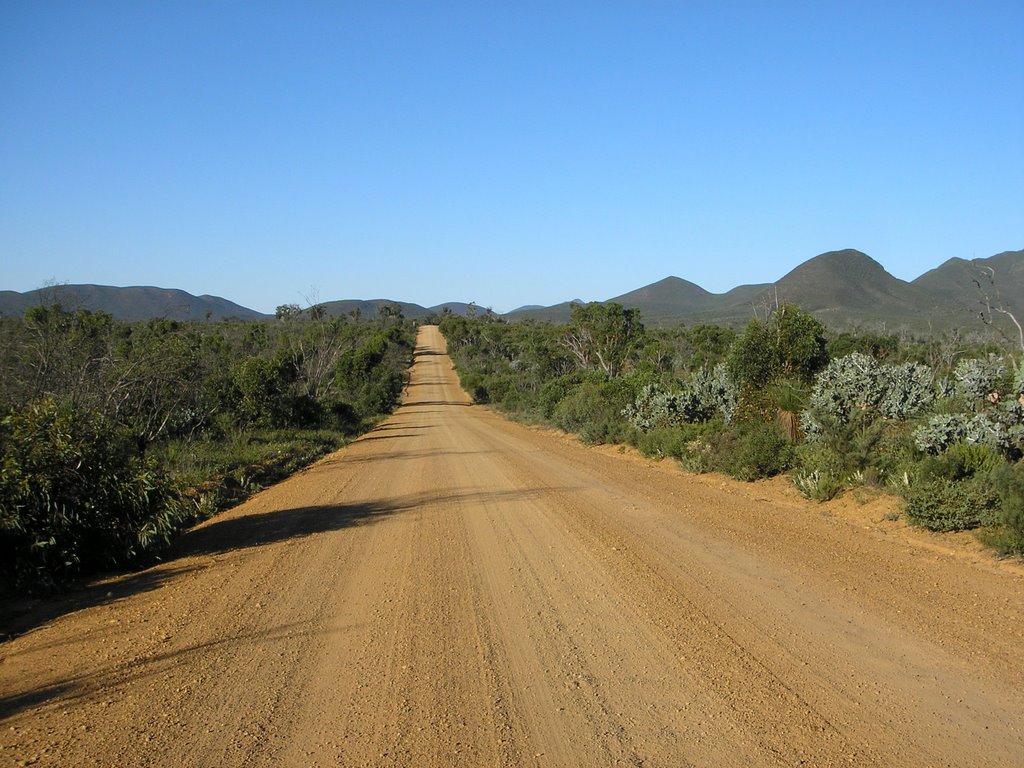 Gravel Road in Stirling Rangers. by sugarbag1