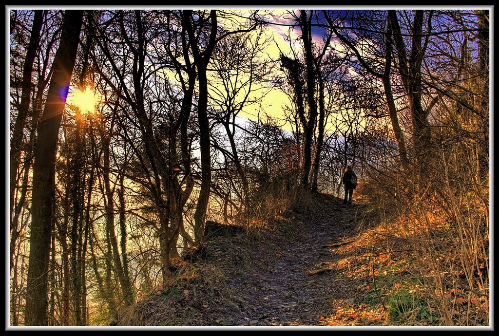 A Day on the volcano and back to the Middle Ages 4 - Ruine Mägdeberg HDR by Frank Struckat