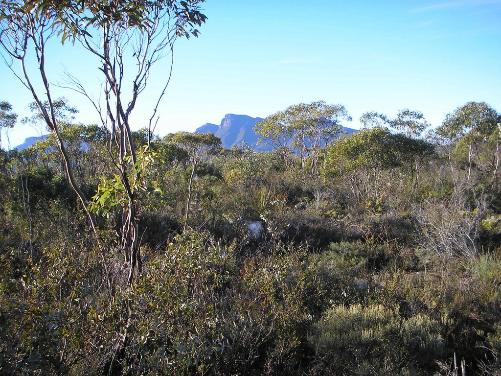 Bluff Knoll Early One Morning. by sugarbag1