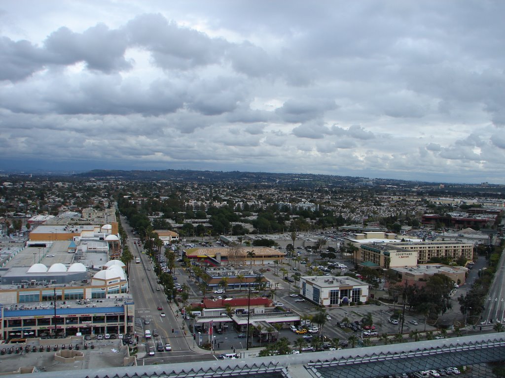 Marina del Rey, Ca. View from Azzurra bldg. by alek solo