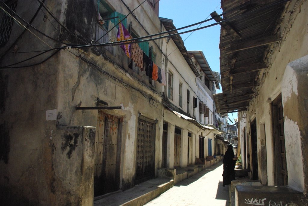 Mwembeshauri, Zanzibar Town, Tanzania by medisan