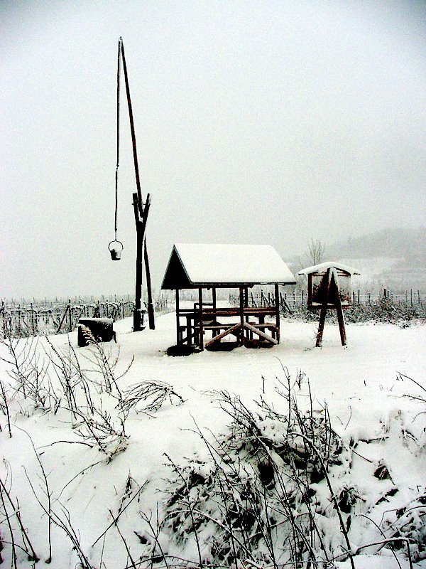 Vahadlová studňa v Pezinských vinohradoch/scale beam well in the Pezinok vineyard by :-)Fiala(-: