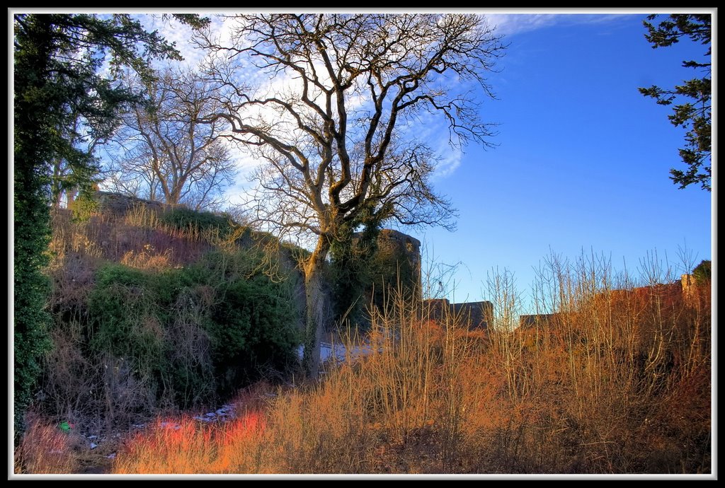 A Day on the volcano and back to the Middle Ages 12 - Ruine Mägdeberg HDR by Strucki