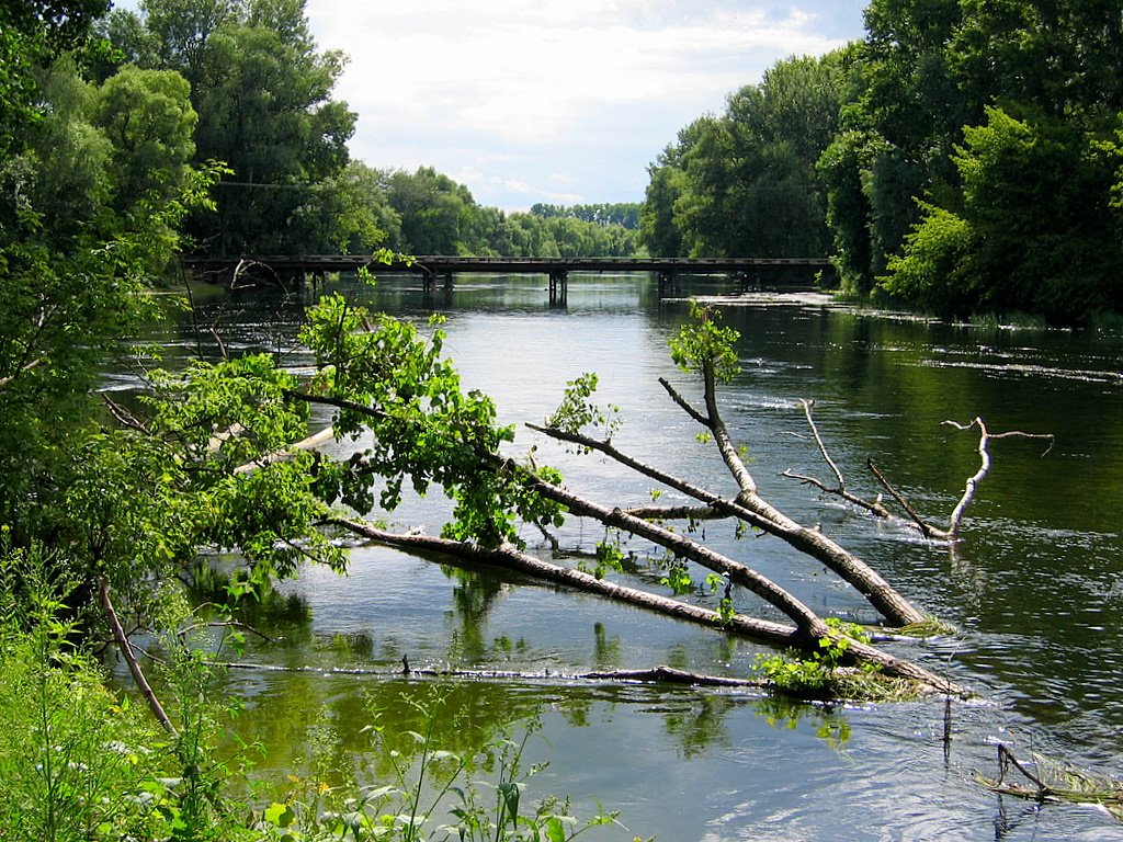 River "Seim". Река "Сейм". by rockster2