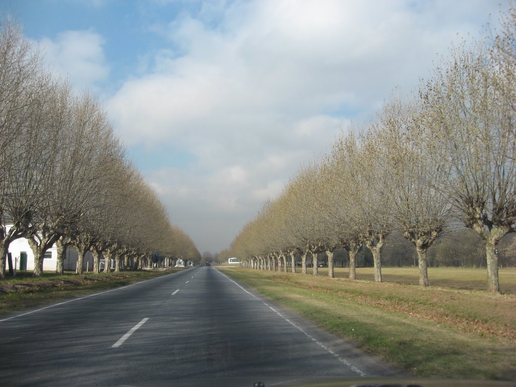 Campo de Mayo-invierno-perspectiva perfecta by Cecilia MARISTANY