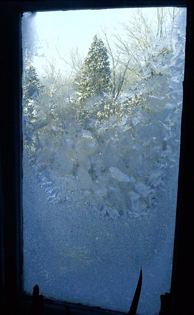 Fenêtre d'hiver givrée rang Scott Alma by Johanne Bouchard