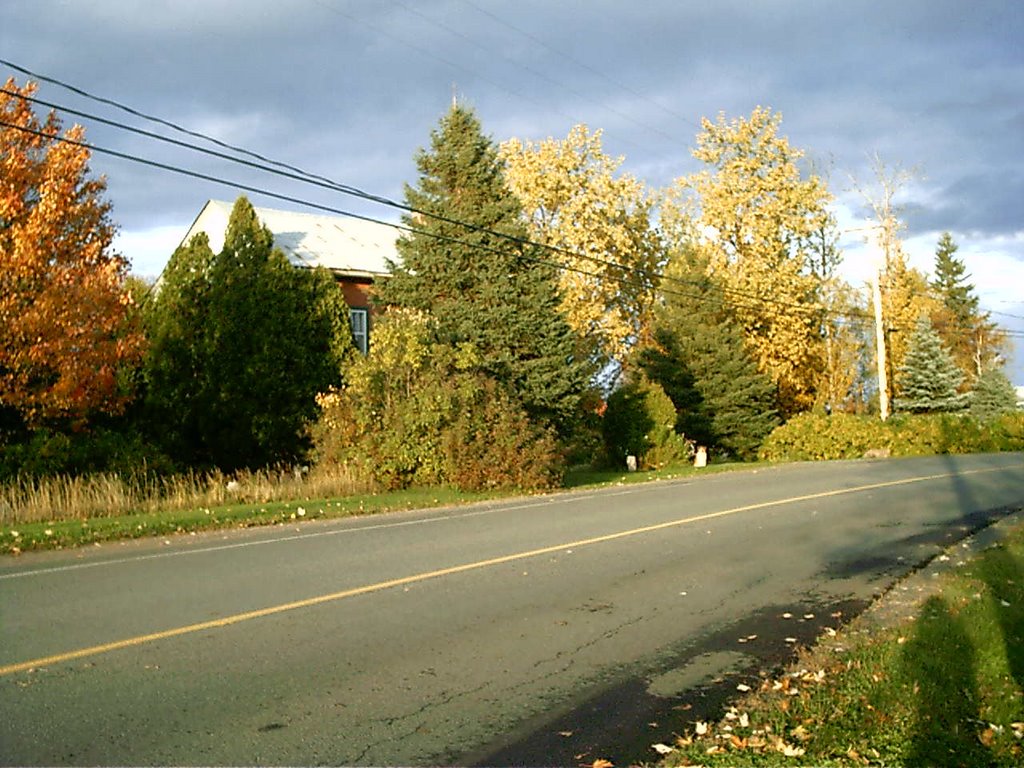 Automne rang Scott Alma by Johanne Bouchard