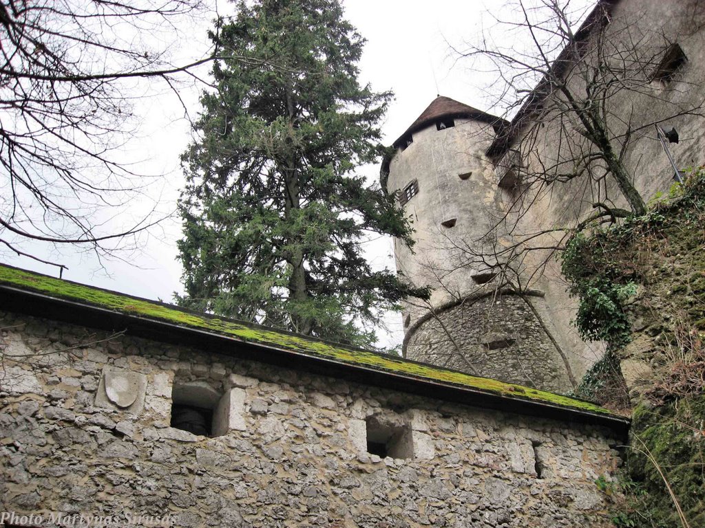 Bled castle, Slovenia by Fototisena.lt Martyn…