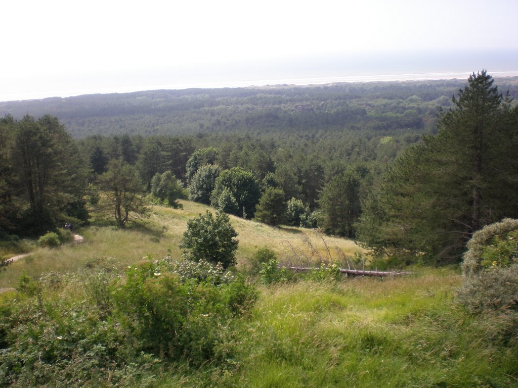 Vue depuis le sommet du mont Frieux à 165m. by FREDCHTI