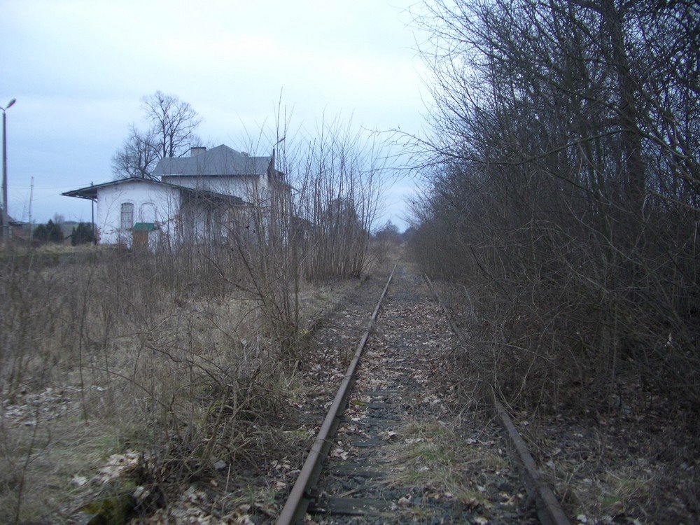 Bahnhof Mohrin (Strecke Wriezen-Königsberg) by mainwasser