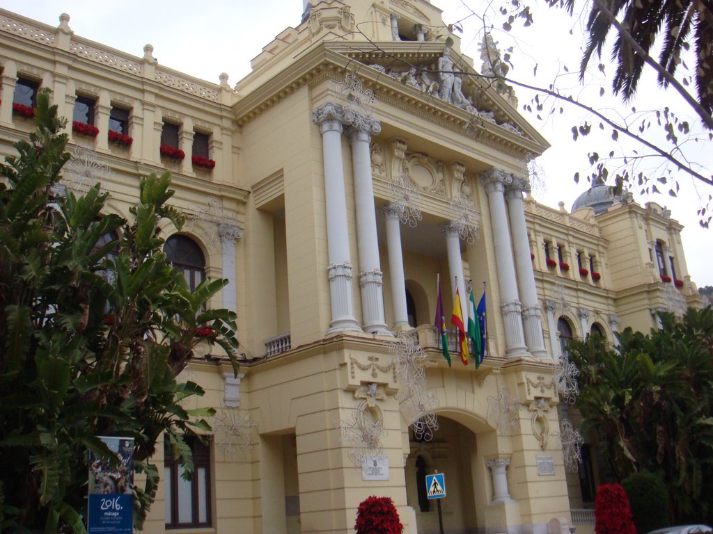 City hall of Malaga by jmap z