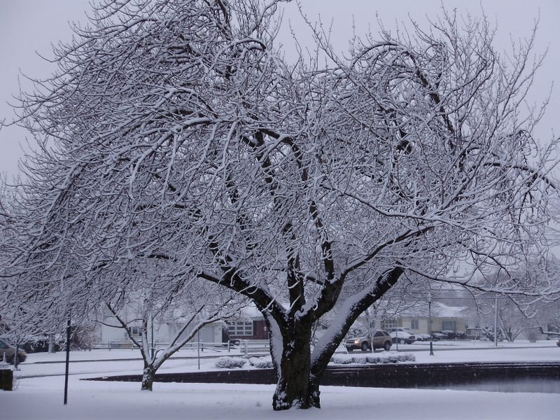 Franklin Lake Park/West Long Branch, NJ by Valkiria de Souza Barbosa Bezerra