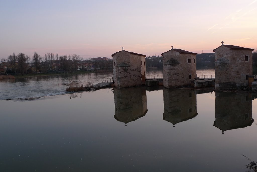 Las Aceñas Gijón Zamora by jovago