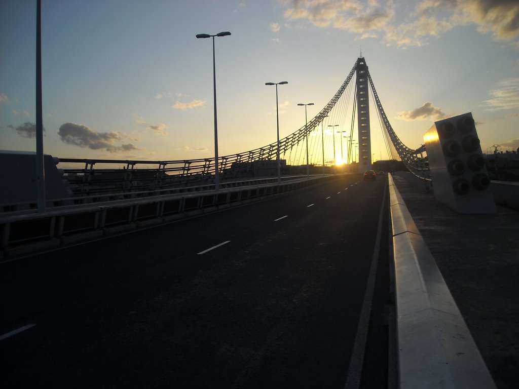 Pont del Bimilenari by Elreydeltractor