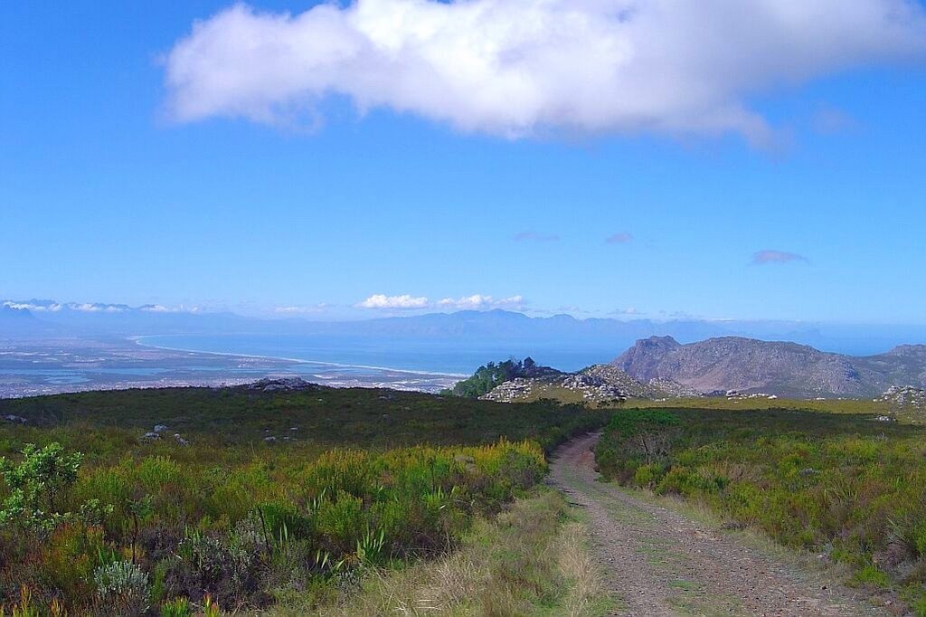 Silver Mine Reserve : Cloud Shadows across the Muizenberg mountain range with False Bay in the blue, below by Hazel Coetzee