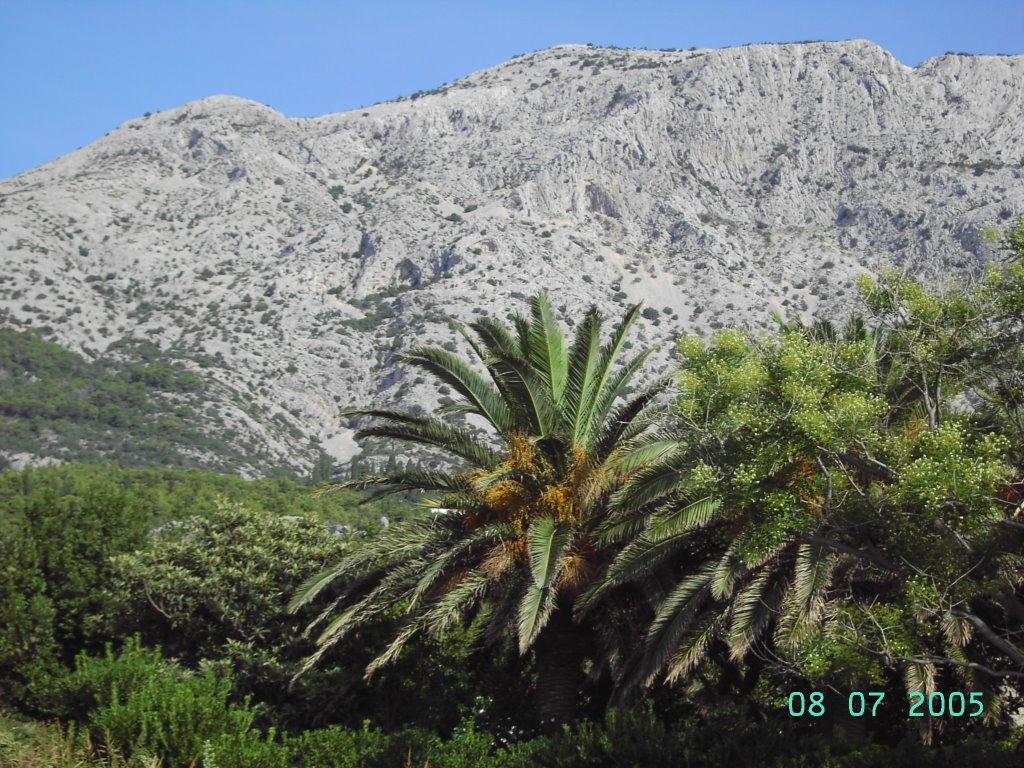 The mountain behind orebic by wber