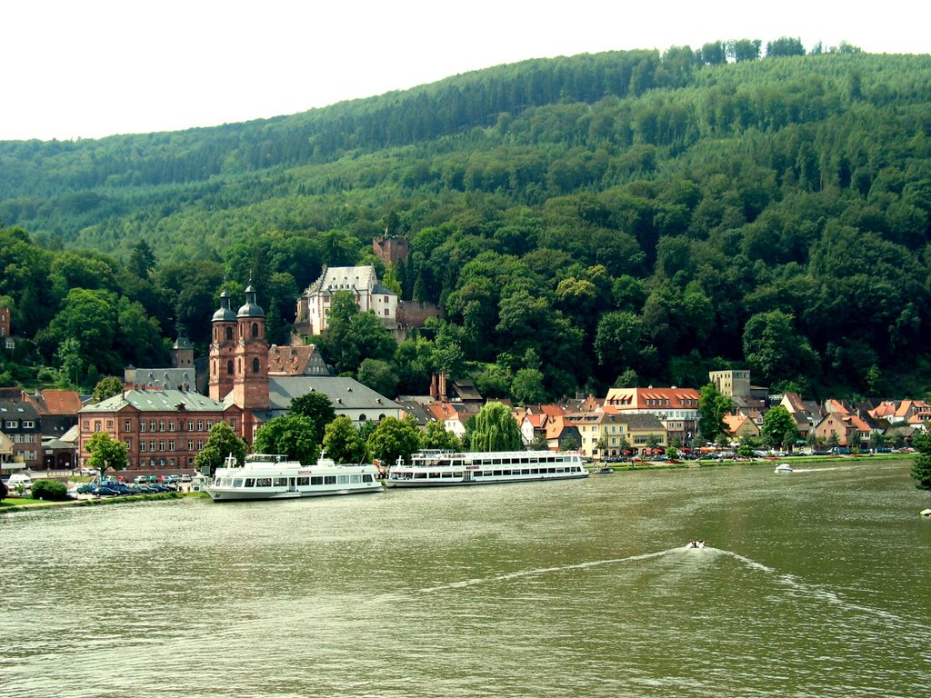 Miltenberg am Main by Kraeckel