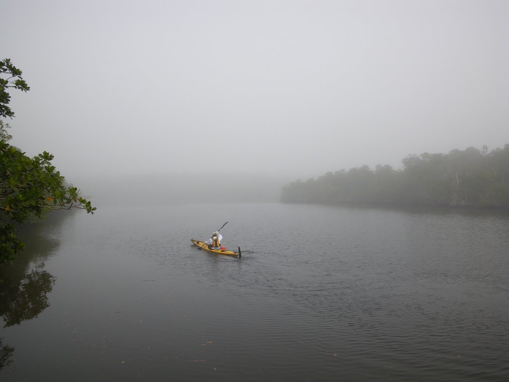 Shark River Chickee Fog by Redfishn'ale