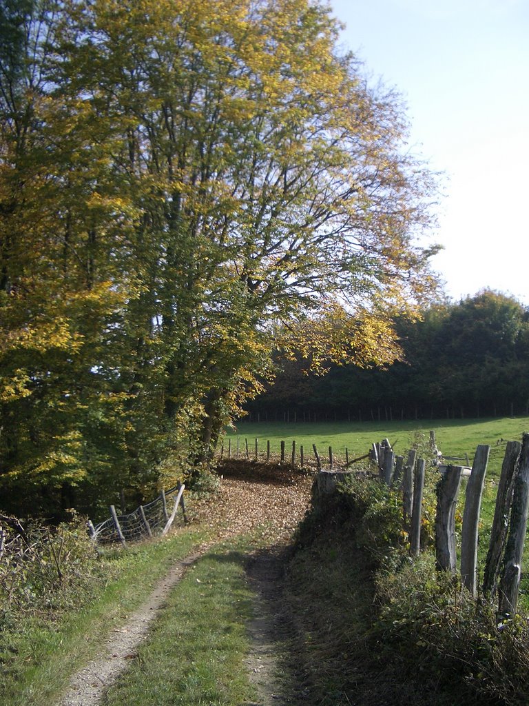 La campagne autours de Charancieu by guina.jp