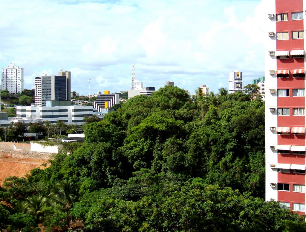 Vista do Itaigara by Antonio Lobo