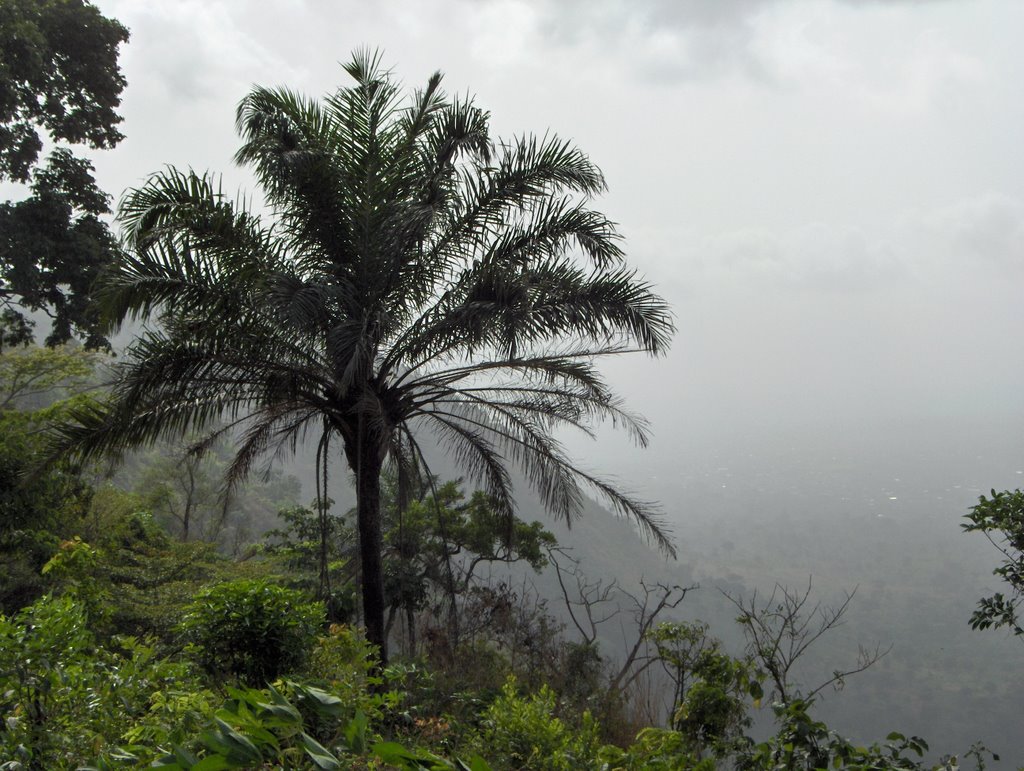 Forêt de Kpalimé panorama by emmanuel roques