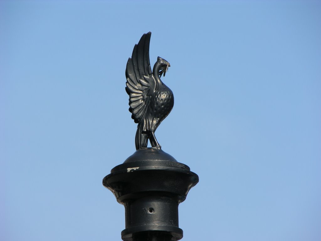 Liver bird lampost in Rodney street by Tillyfarlar