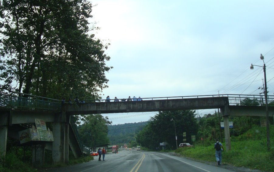 PEDESTRIAN BRIDGE by Dr. Francisco Arguedas Pimentel