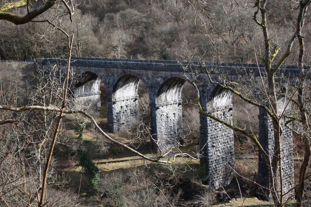 Pontsarn Viaduct near Merthyr by Picalicious