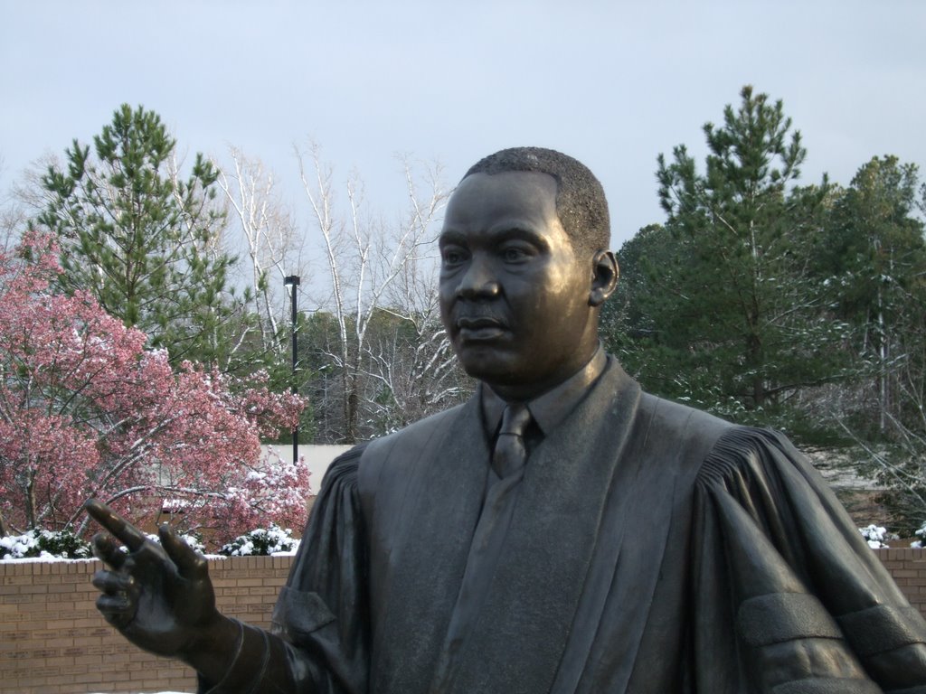 Dr. King statue at the Raleigh Dr. Martin Luther King, Jr. Memorial Gardens, 3-2-09 by tompope2001