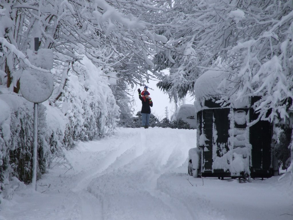 Parklands, Okehampton, Feb 2009 by jonshort