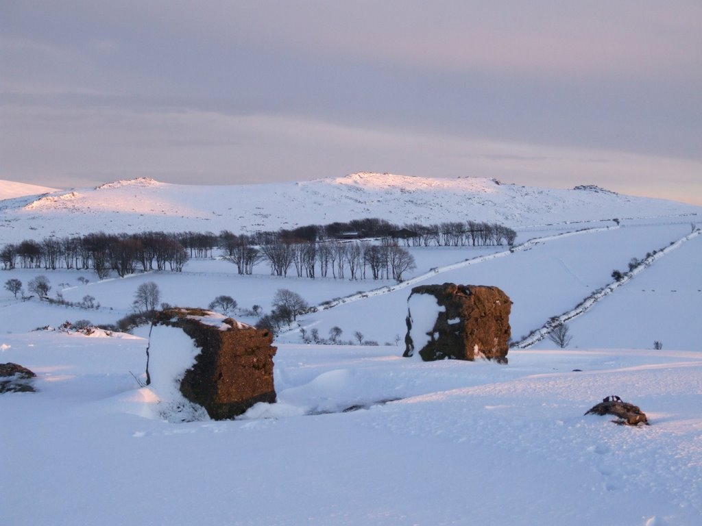 Belstone Tor from East Hill, Feb 2009 by jonshort