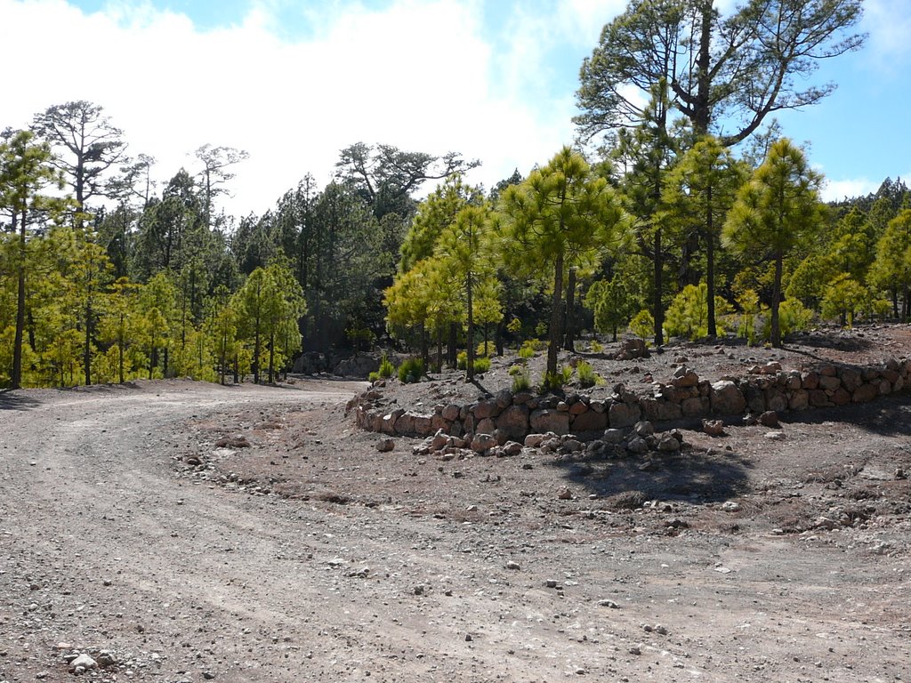 Tenerife - Parque Natural de Corona Forestal by Patrycja&Michal Chro…