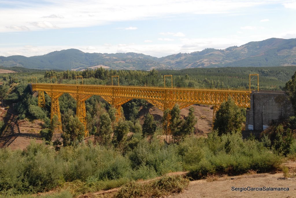 Viaducto Del Malleco by sergio Eduardo garci…