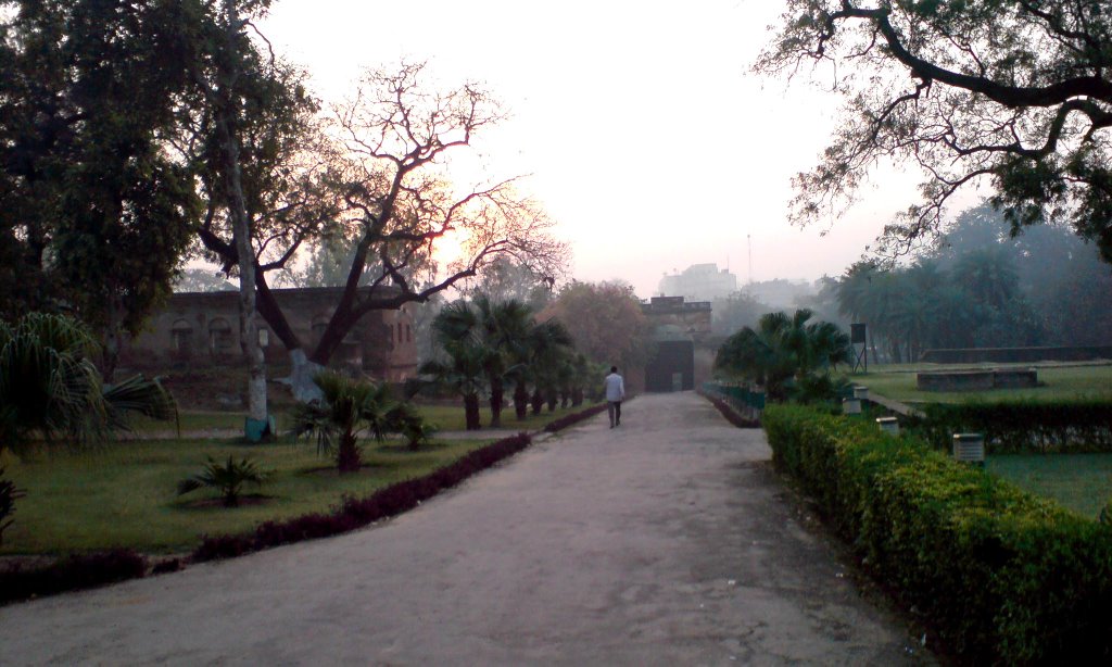 Morning Glory at Residency, Lucknow by www.husainstudio.com