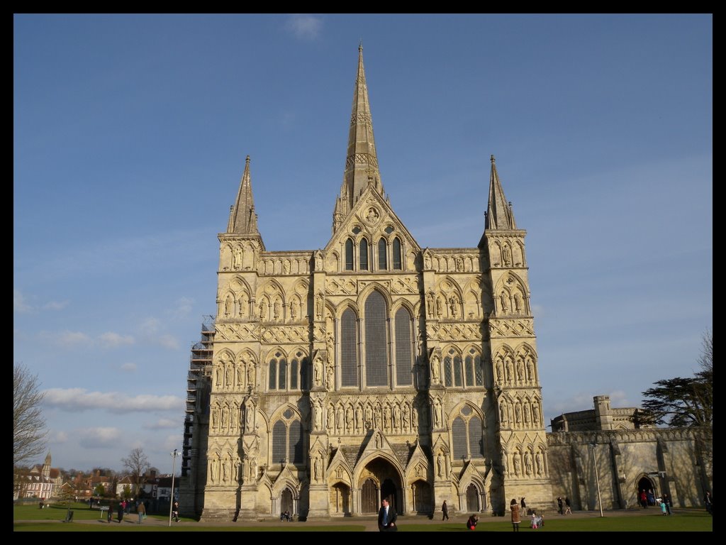 Salisbury Cathedral by Shaun Jones