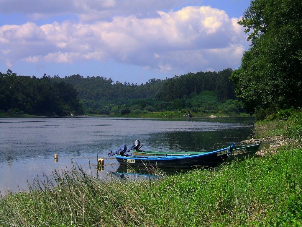 RIO MIÑO EN SALVATERRA by Soledad Seoane