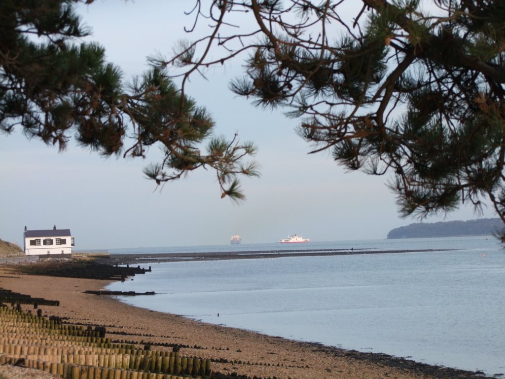 Lovely Lepe by squiz54