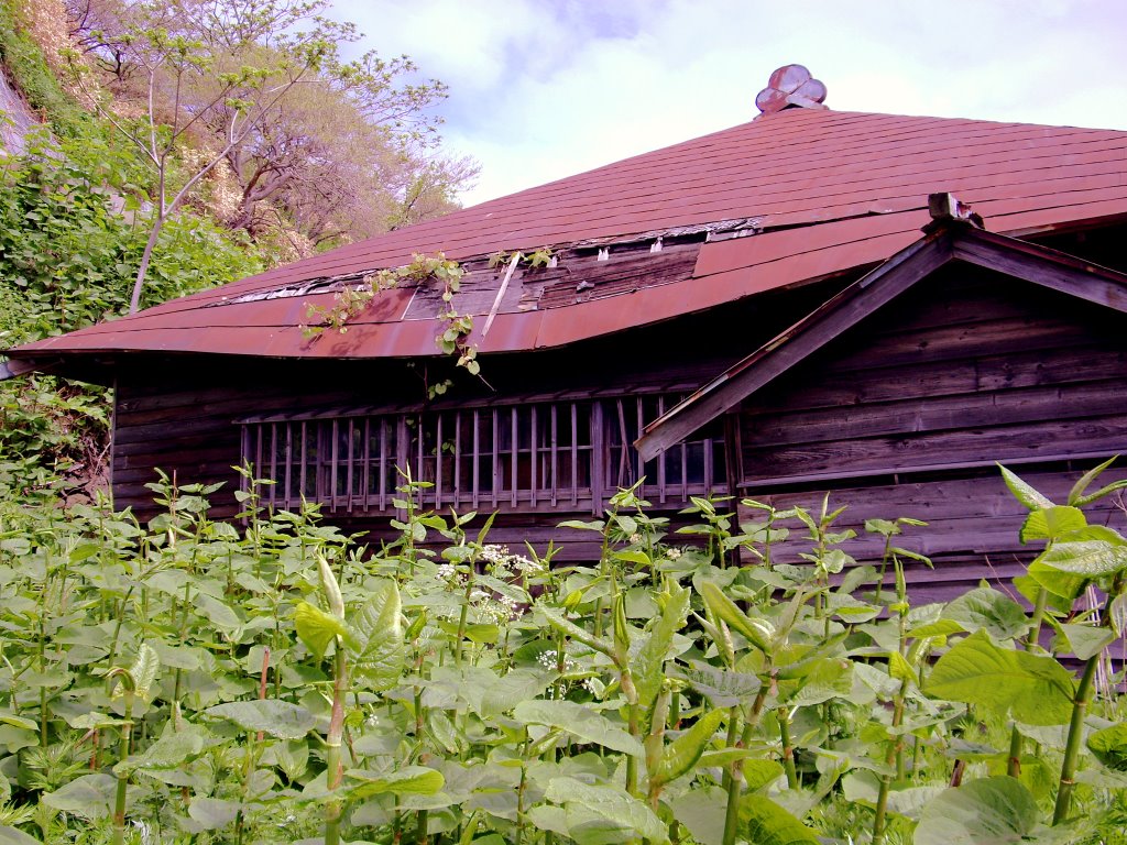 Collapsing Herring house, Shukutsu, Otaru by Todd Stradford