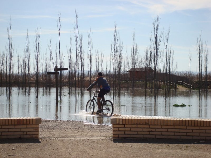 Galacho de juslibol inundado. by sinmoneda